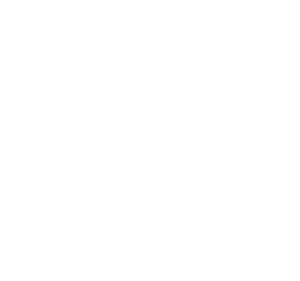 BW Autosports Logo